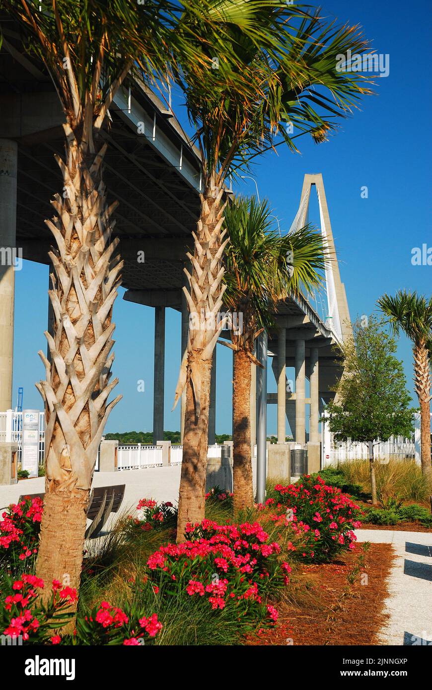 A garden is planted at the base of the Ravenel Bridge, crosses over the Cooper River and connecting Charleston to Mount Pleasant South Carolina Stock Photo
