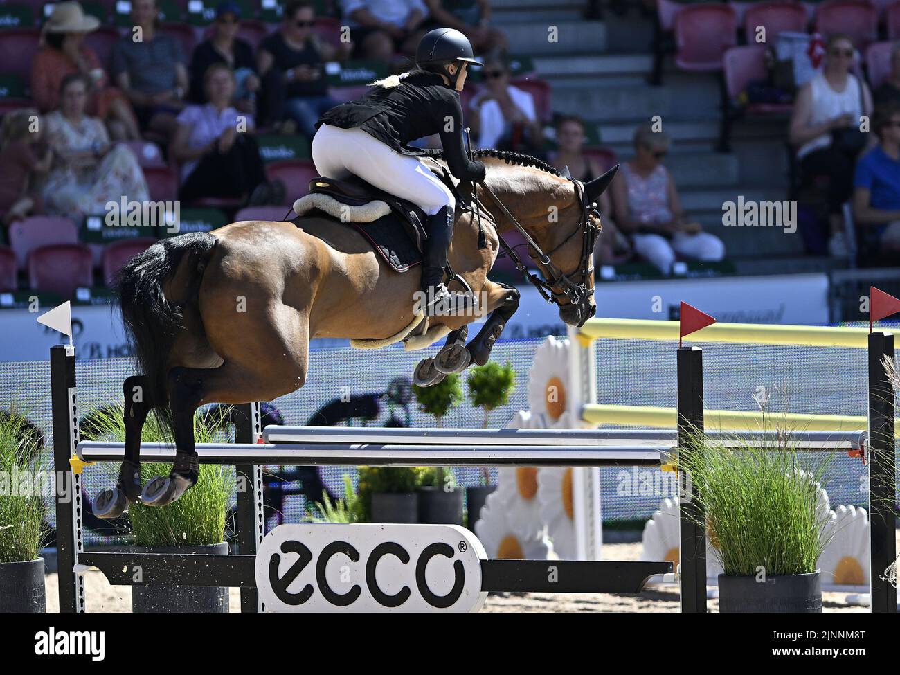 Herning, Denmark. 12th Aug, 2022. World Equestrian Games. Tina Lund (DEN) riding CORDANI PS during the CSI3* - Medium Tour. Credit: Sport In Pictures/Alamy Live News Stock Photo