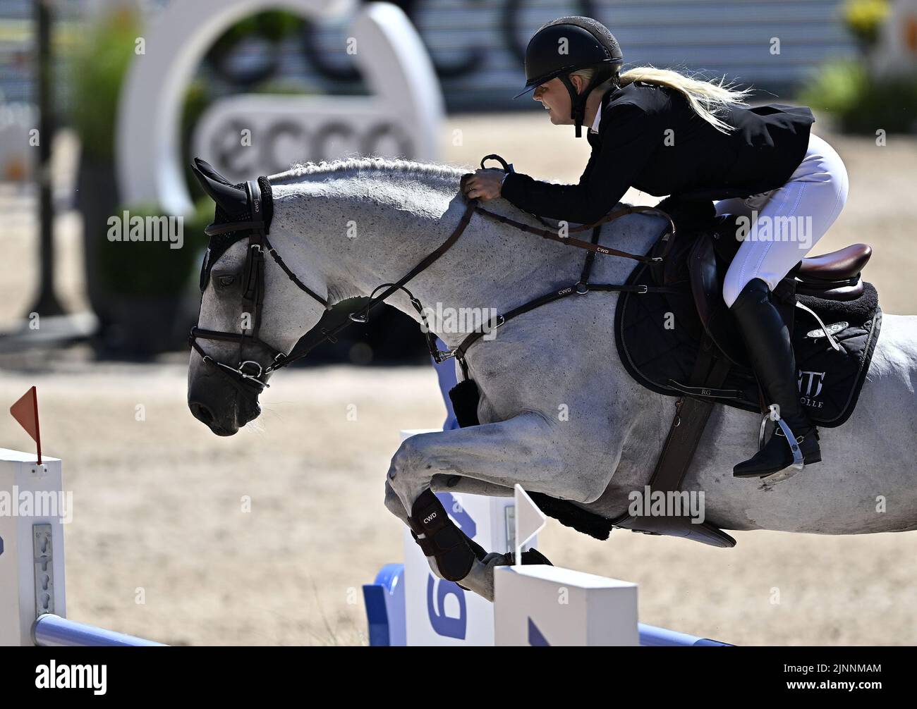 Herning, Denmark. 12th Aug, 2022. World Equestrian Games. Anne Kristine ...