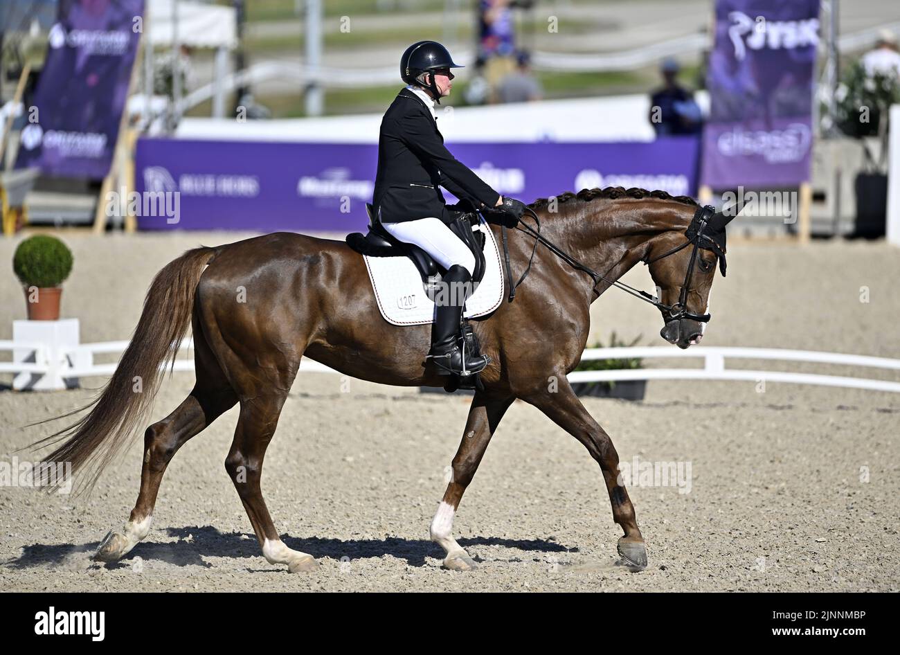 Herning, Denmark. 12th Aug, 2022. World Equestrian Games. Heidemarie Dresing (GER) riding LA BOUM 20 during the FEI World Para Dressage Team Championship - Grade II. Credit: Sport In Pictures/Alamy Live News Stock Photo
