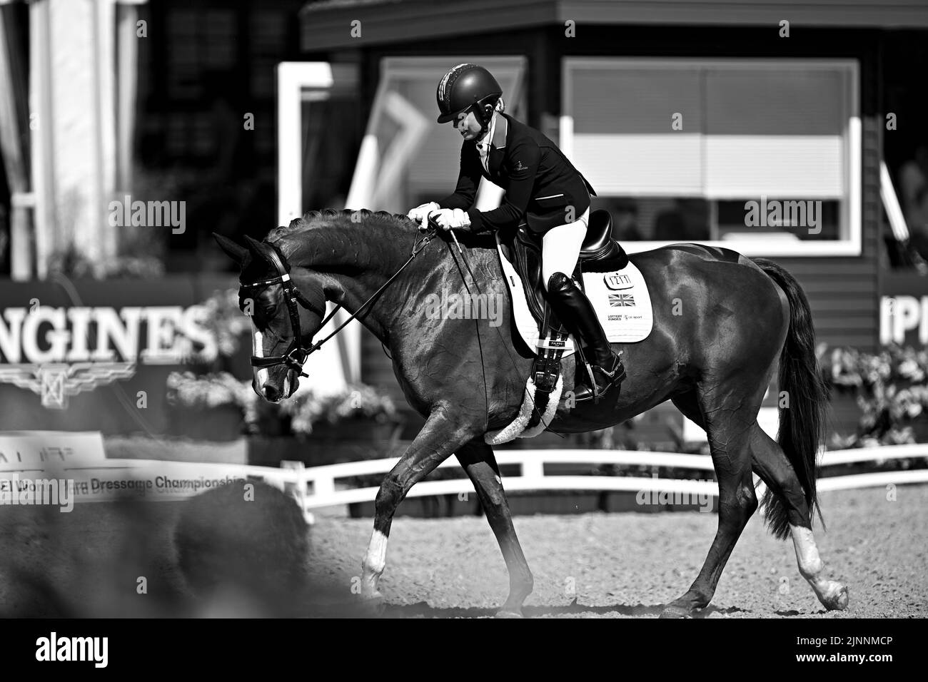 Herning, Denmark. 12th Aug, 2022. World Equestrian Games. Georgia Wilson (GBR) riding SAKURA during the FEI World Para Dressage Team Championship - Grade II. Credit: Sport In Pictures/Alamy Live News Stock Photo