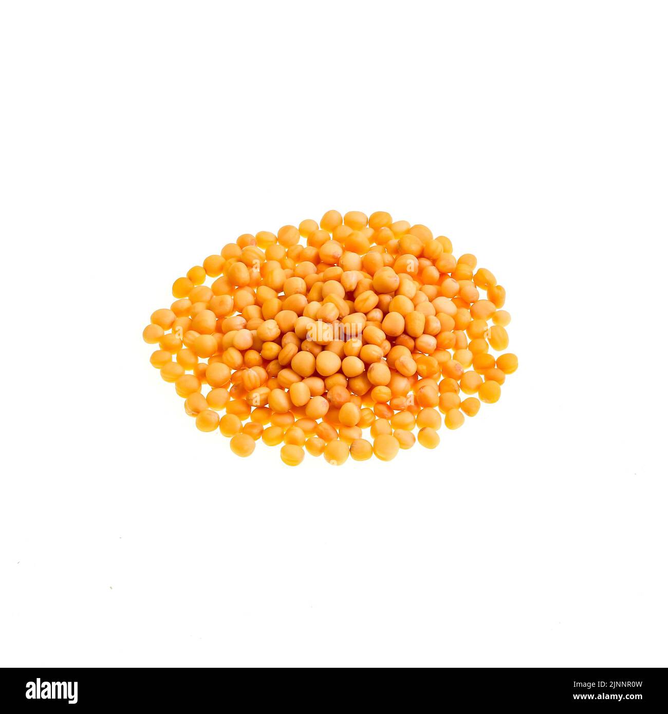 Yellow mustard seeds are the small seeds of the white or yellow mustard