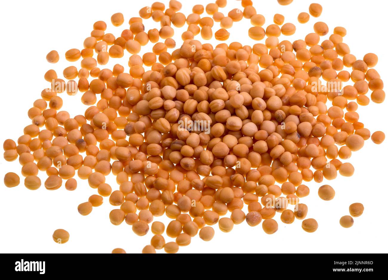 Yellow mustard seeds are the small seeds of the white or yellow mustard plant, Brassica hirta