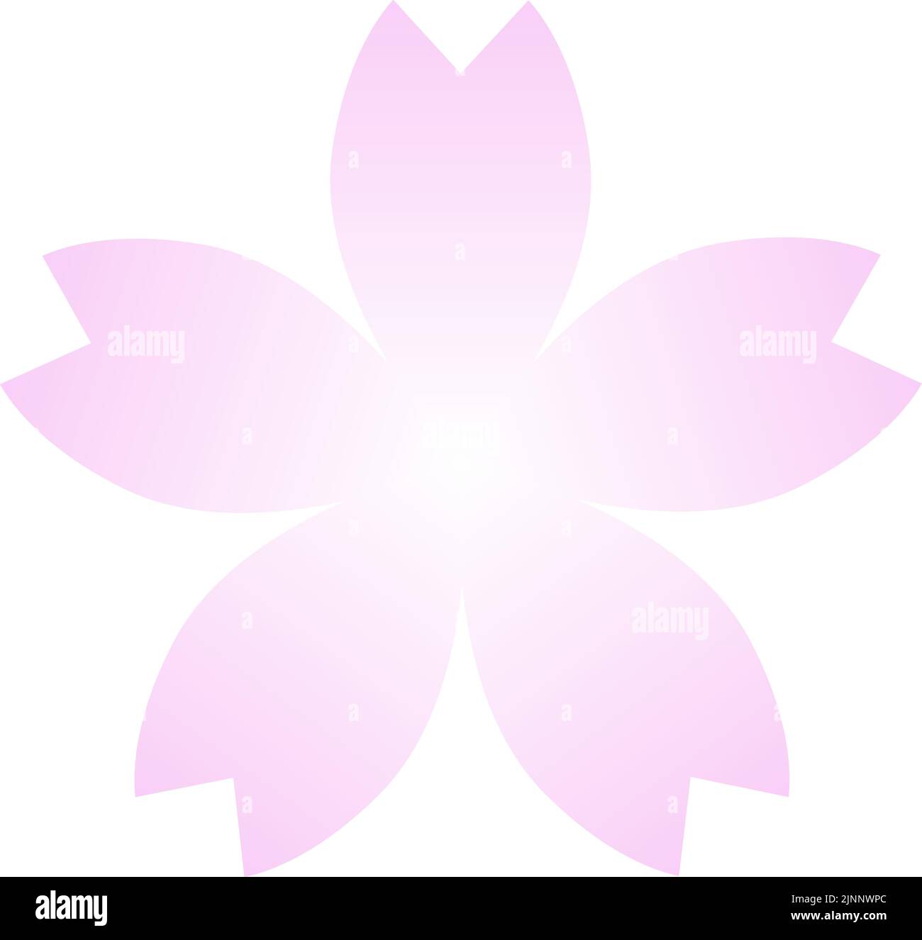 Cherry blossoms, petals with pink gradation Stock Vector Image & Art