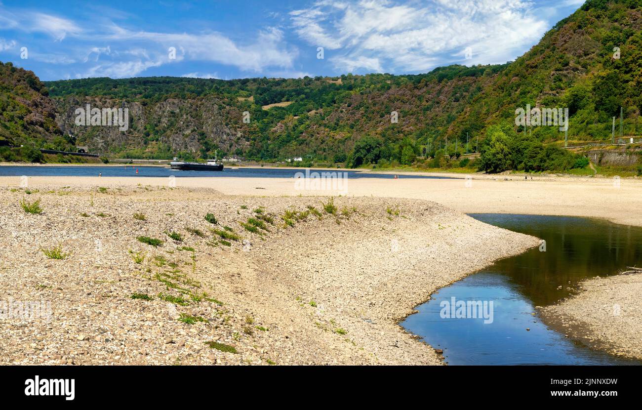 Drought in Germany. Low water of the Rhine by Oberwesel, Rhineland-Palatinate Stock Photo