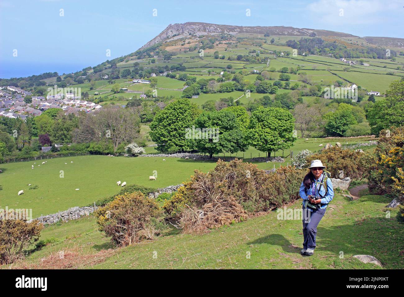 Indian Woman Walking With Llanfairfechan and Penmaenmawr Mountain in distance, Wales, UK Stock Photo