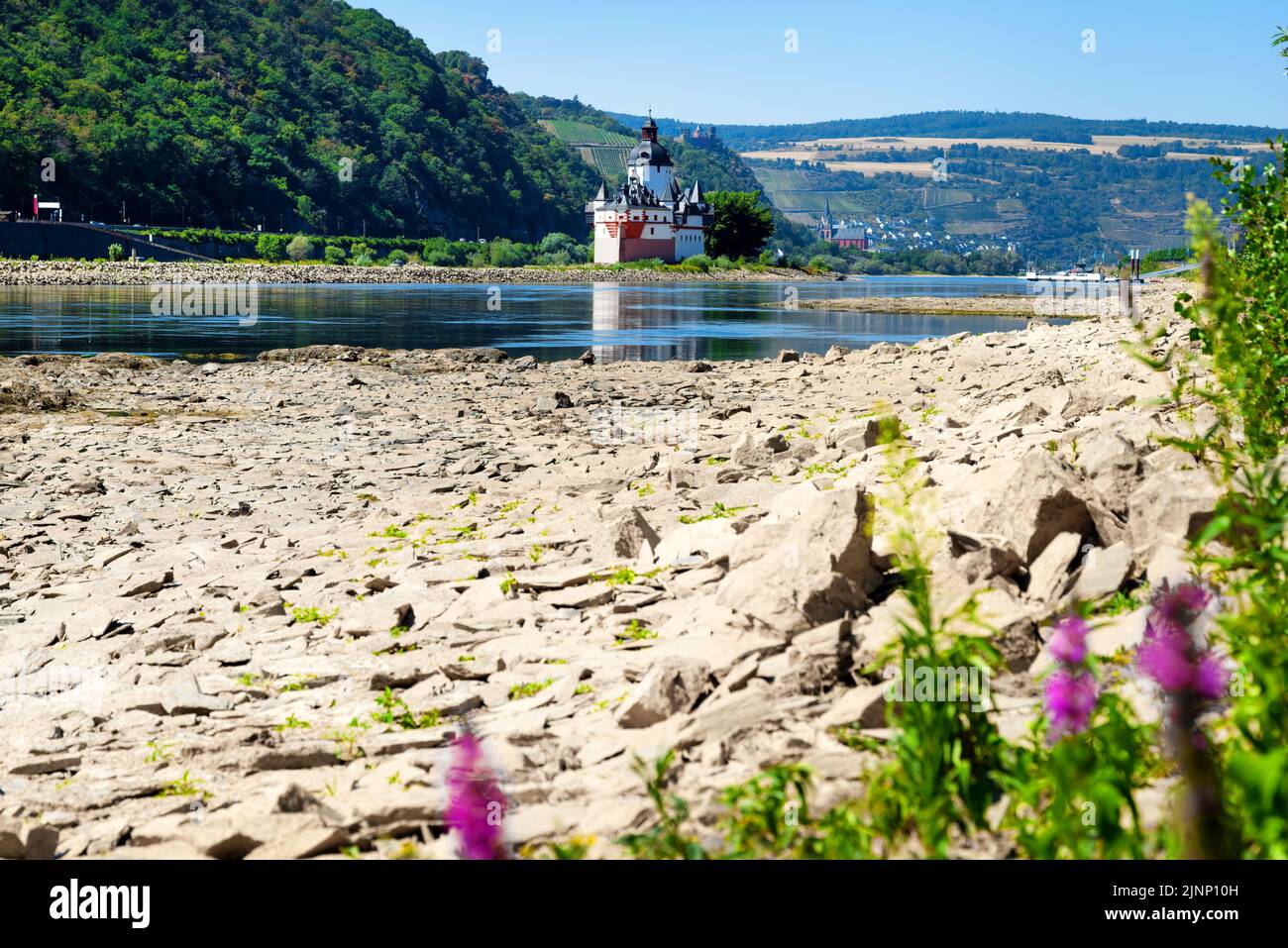 Drought in Germany. Low water of the Rhine in Kaub, Rhineland-Palatinate Stock Photo