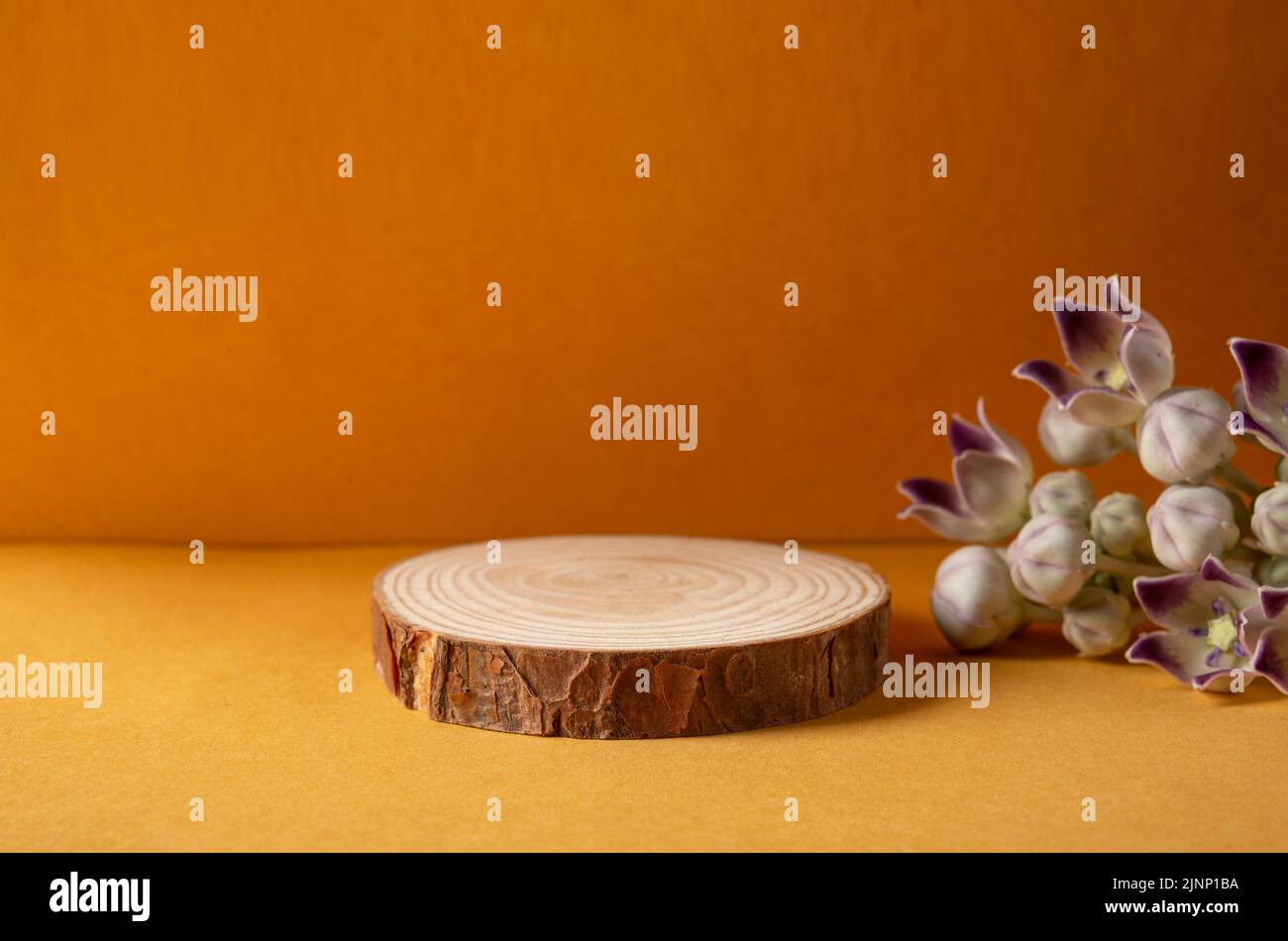 Wooden podium on yellow background with natural flowers with mockup product space. Stock Photo