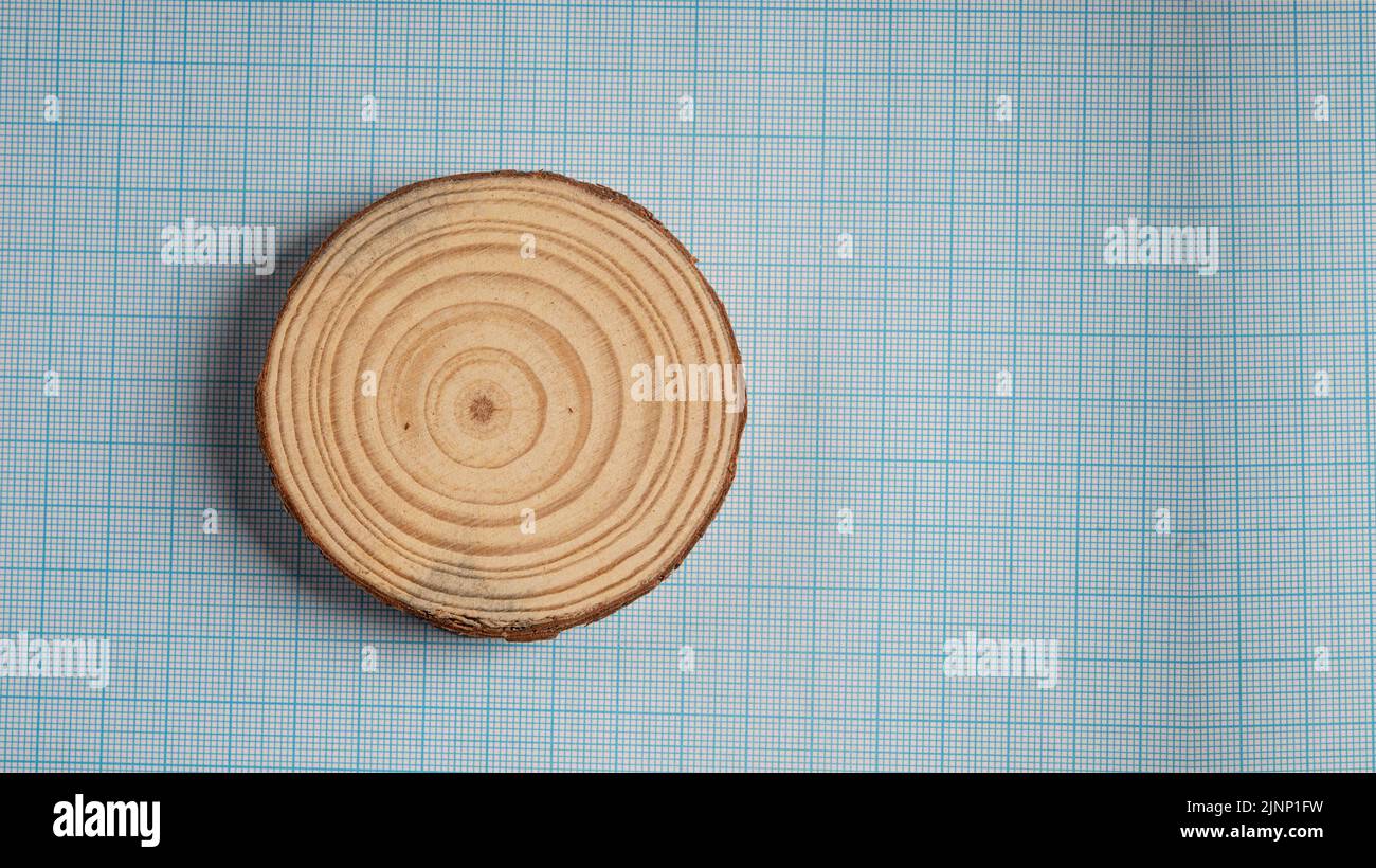 Old tree cut hi-res stock photography and images - Alamy