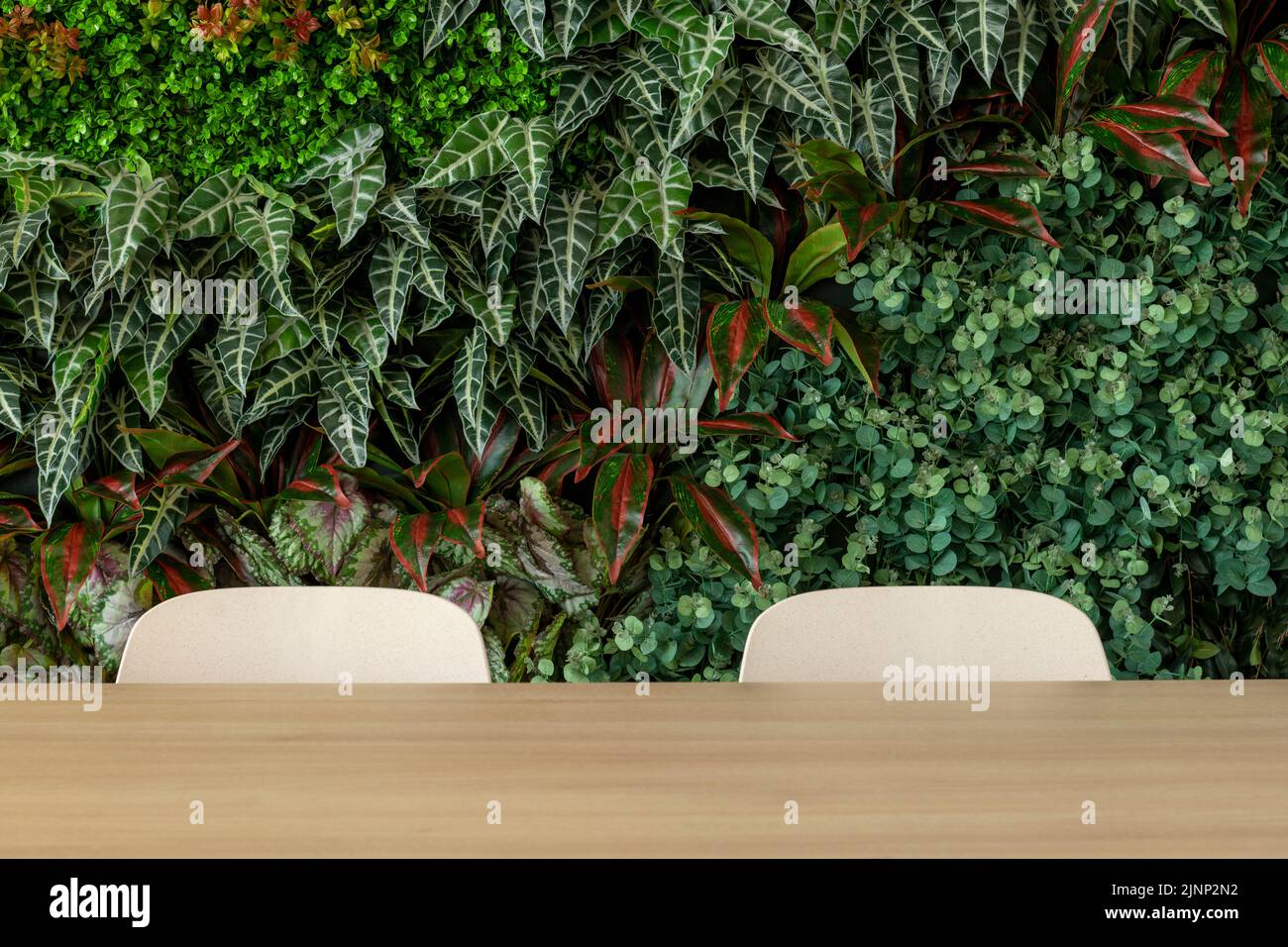 Green living room with chairs and table, vertical garden - stock photo Stock Photo