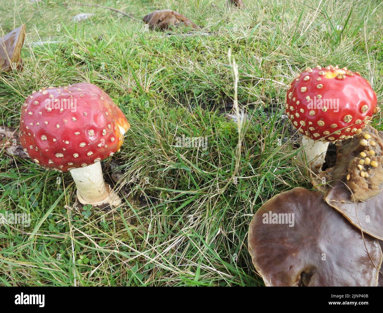 West Highland Way Scotland's Great Trails Long Distance Route. Scottish ...