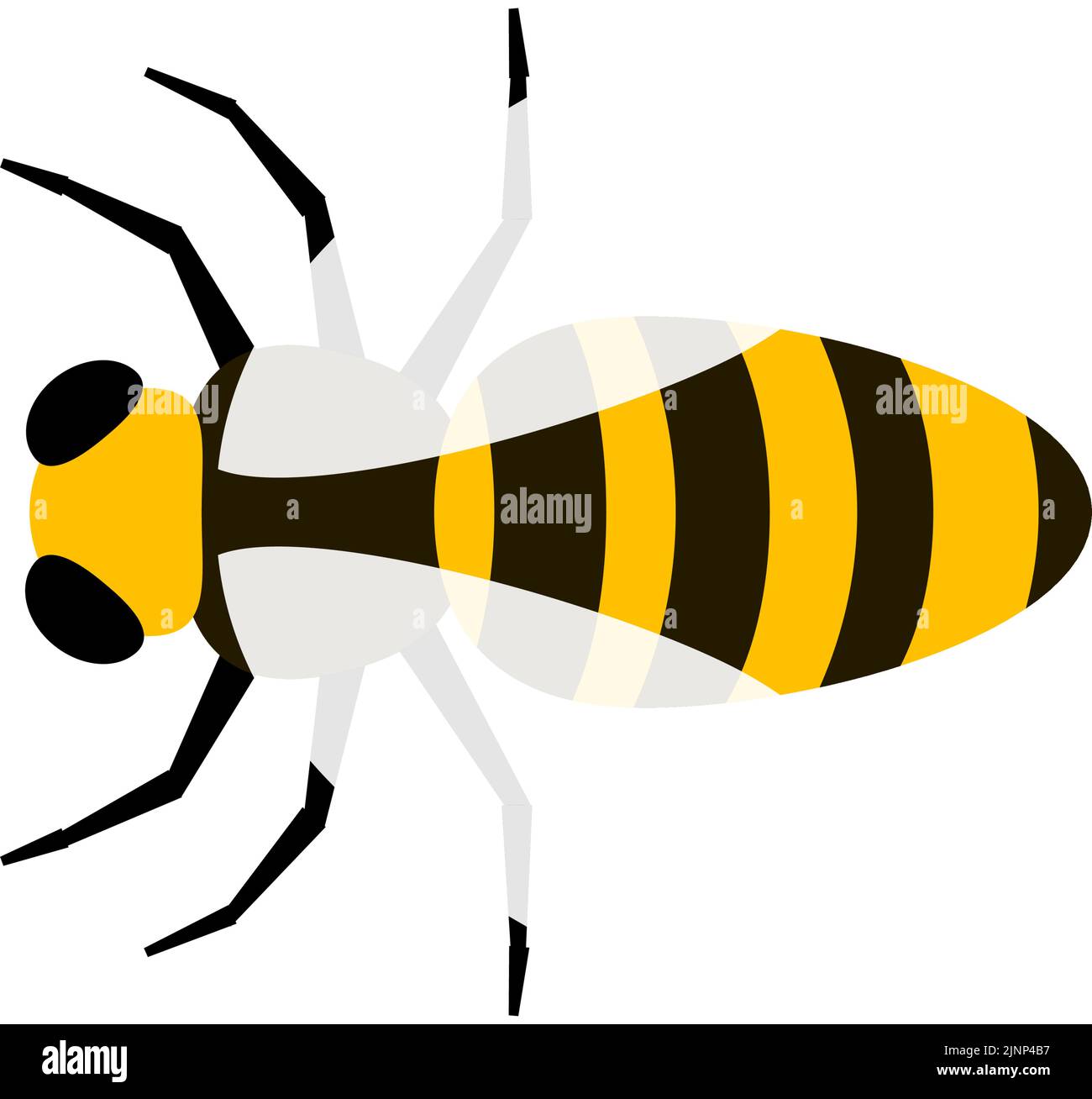 Clip art of simple honey Stock Vector Image & Art - Alamy