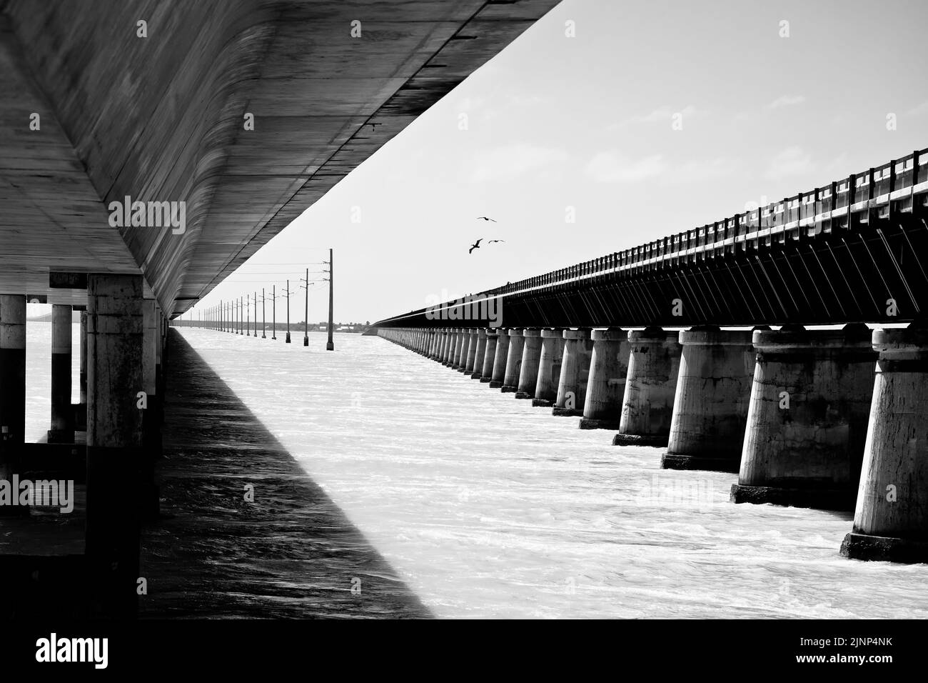 Seven Mile Bridges old and new in Marathon black and white view, U. S. Route 1 in Florida Keys, south Florida, United States of America Stock Photo