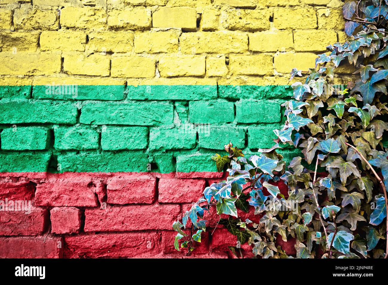 Lithuania grunge flag on brick wall with ivy plant, country symbol concept Stock Photo