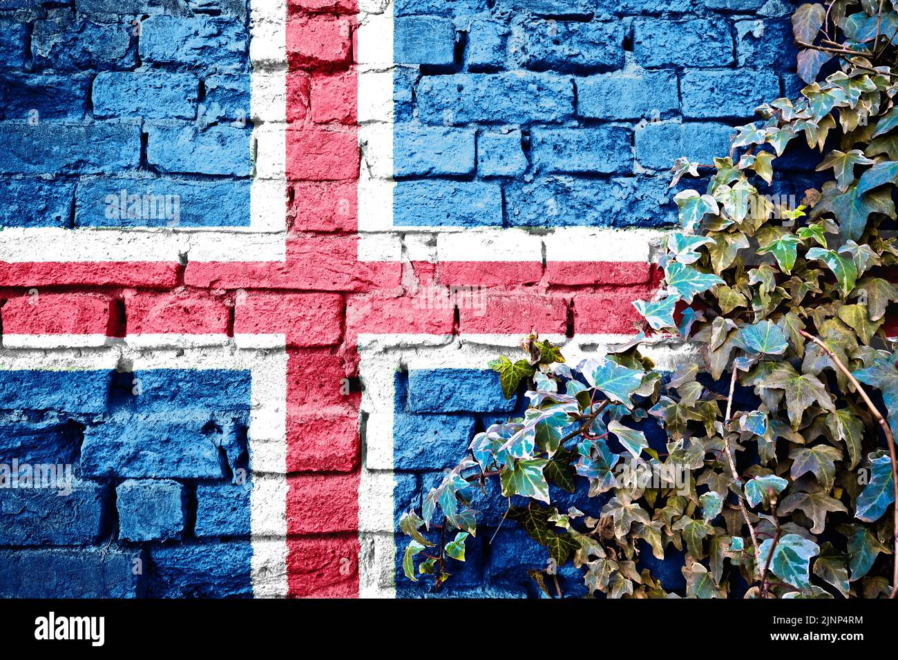 Iceland grunge flag on brick wall with ivy plant, country symbol concept Stock Photo