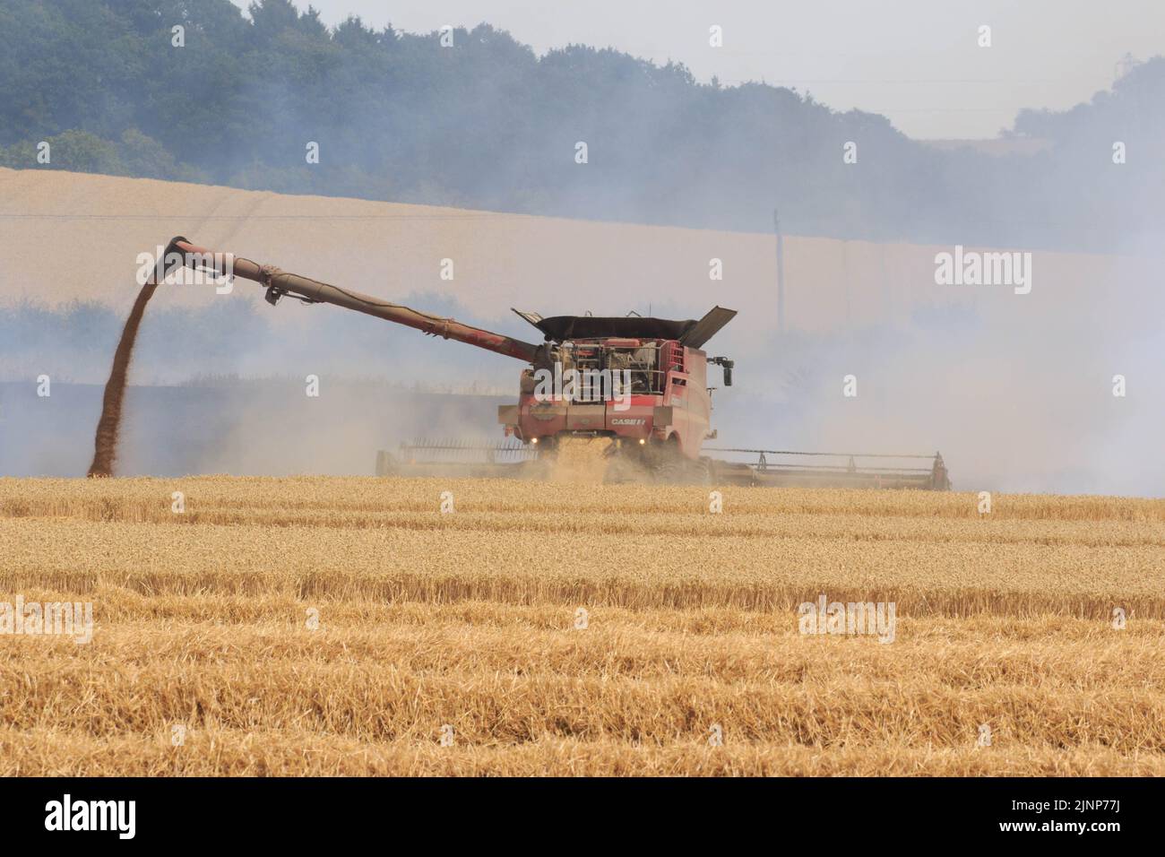 7-8-2022 Firefighters and farmers tackle a massive field fire in a crop of standing Wheat close to the village of Ridlington, Rutland  ©Tim Scrivener Photographer 07850 303986      ....Covering Agriculture In The UK.... Stock Photo