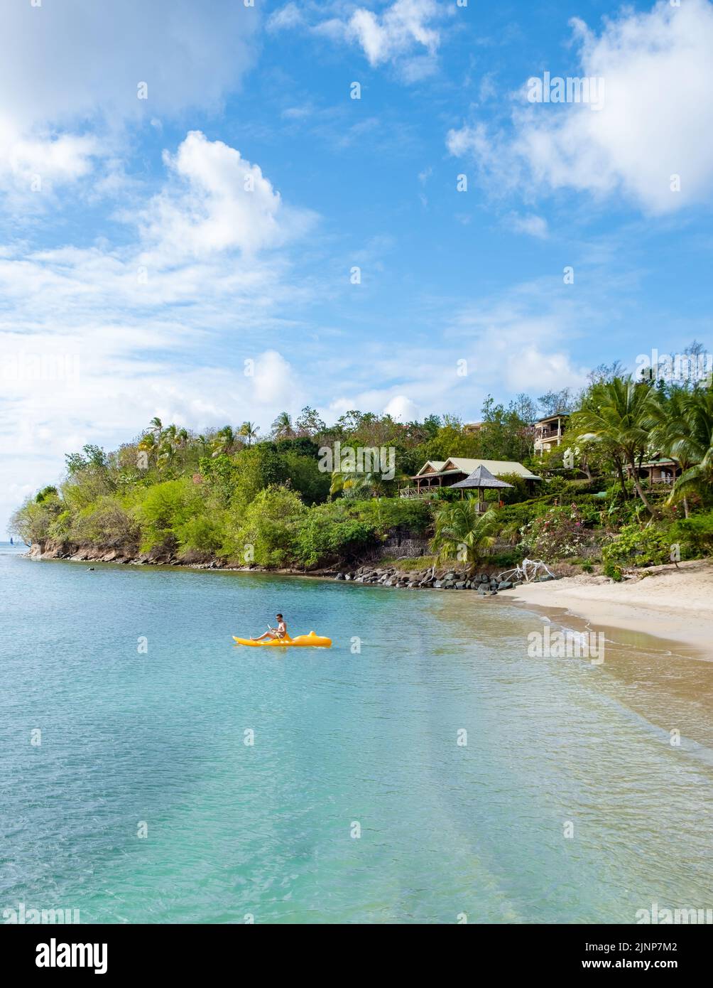 St lucia beach flower hi-res stock photography and images - Alamy