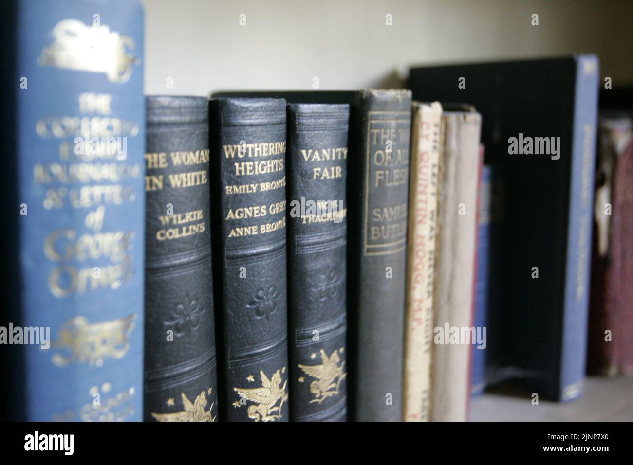 Old book covers and spines on a shelf. dusty living room Stock Photo