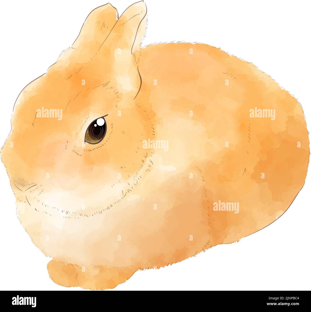 Watercolour illustration of a brown rabbit. Stock Vector