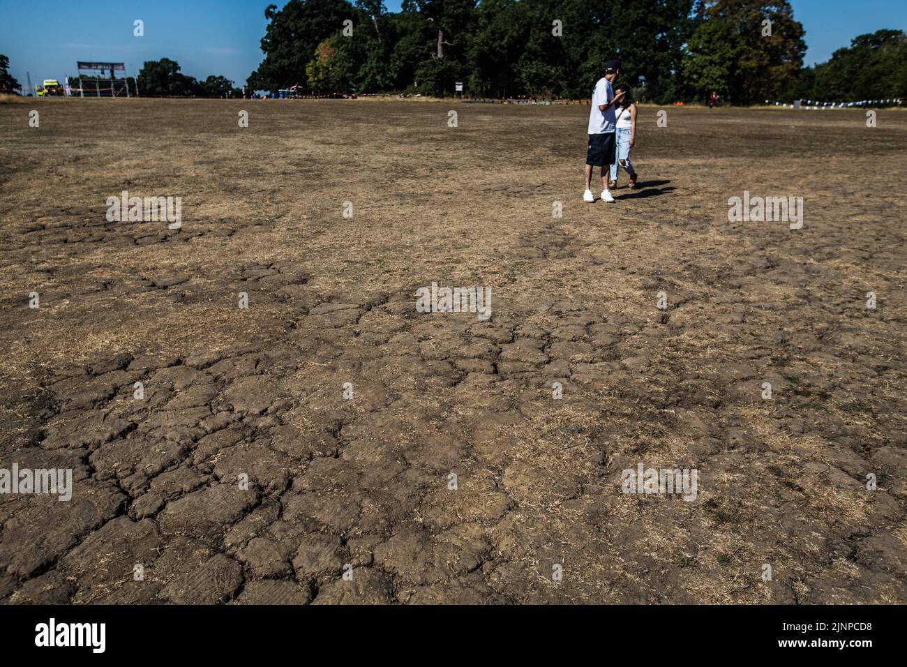 London UK 13 August 2022 The hard dry ground showing the effect of the drought  in London  Morden park. Paul Quezada-Neiman/Alamy Live News Stock Photo