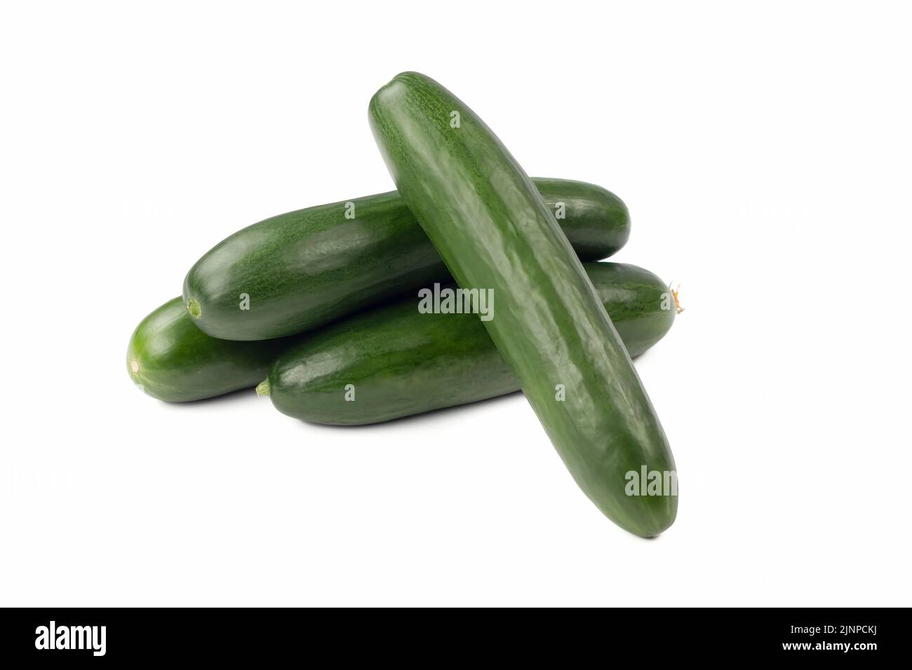 Fresh cucumbers isolated on bright background. Close up view. Stock Photo