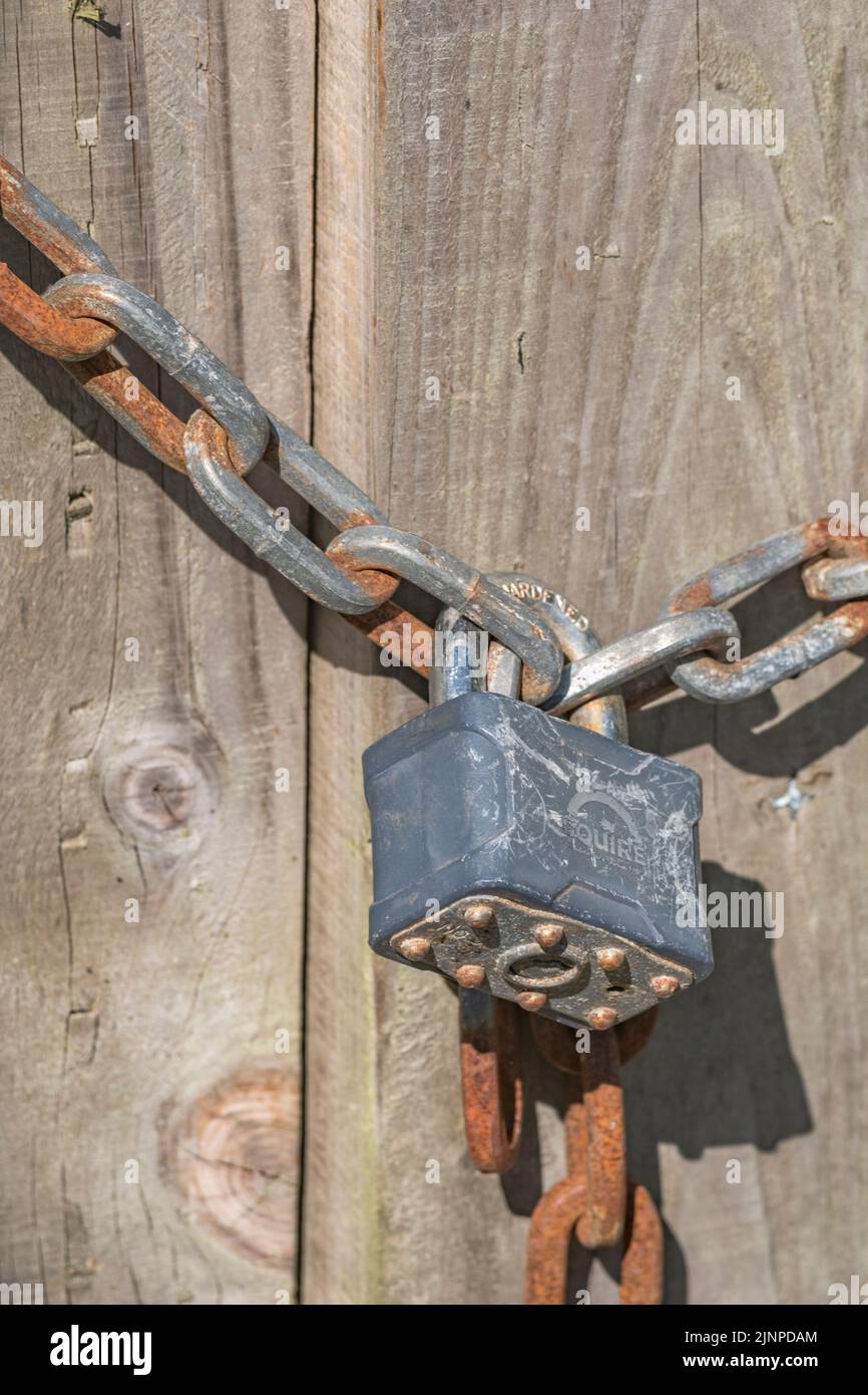Squire key-opened padlock & chain securing a wooden farm gate. For supply chain, data security, identity, secure online payments, Covid lockdown UK. Stock Photo