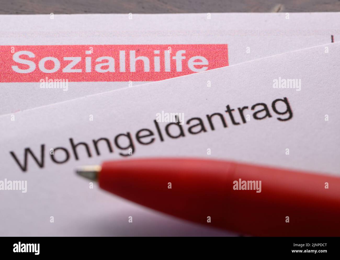 city of dresden welfare office