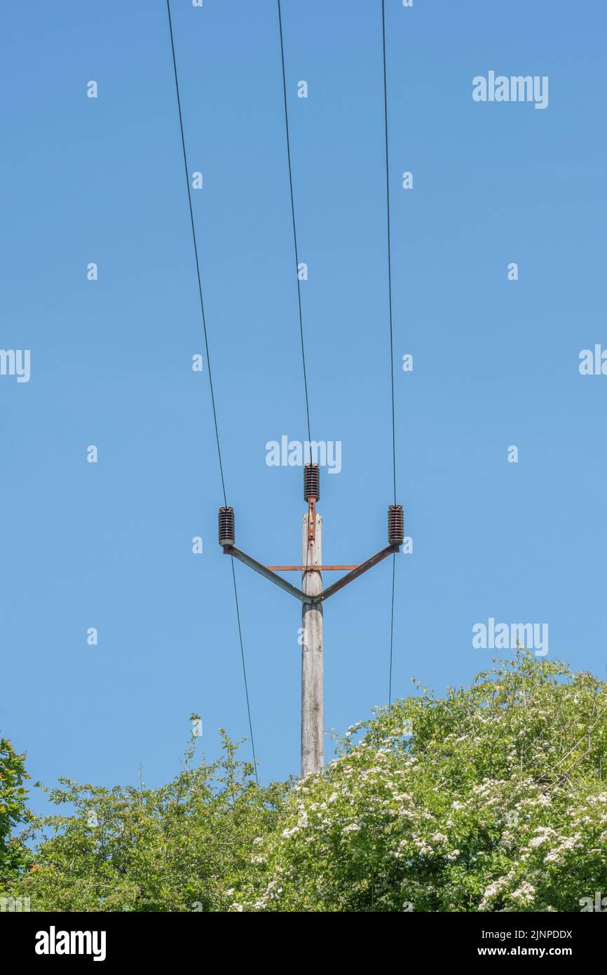 Rural electrical power lines in Cornwall, UK set against blue sky. Metaphor rural power distribution, National Grid, domestic power, 'high wire act'. Stock Photo