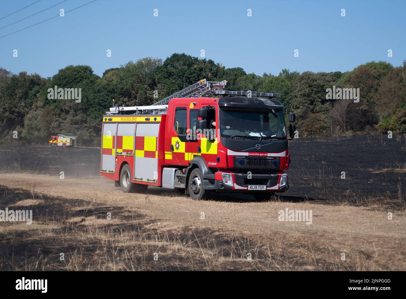 M25 motorway wildlife hires stock photography and images Alamy