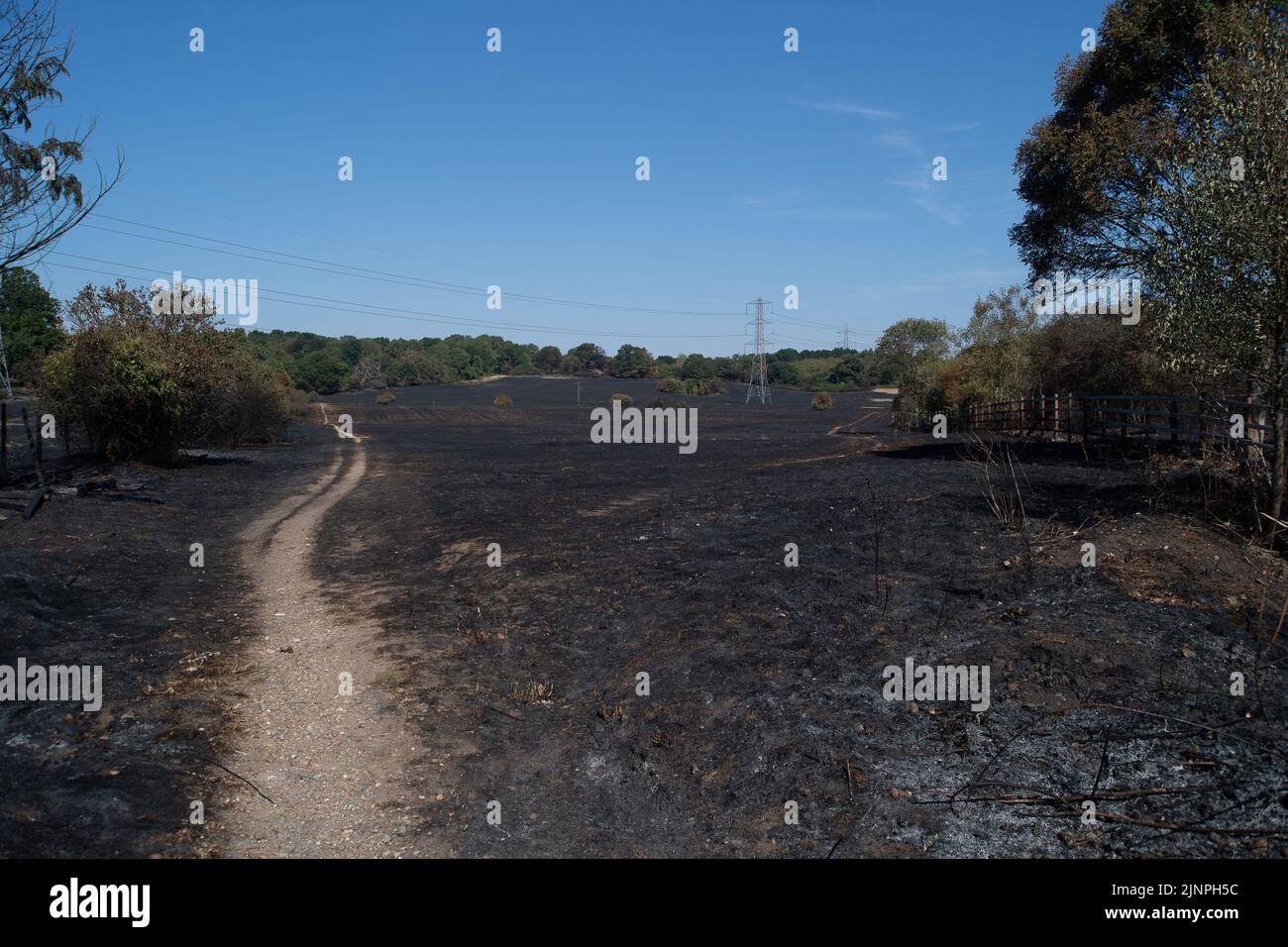 M25 motorway wildlife hires stock photography and images Alamy