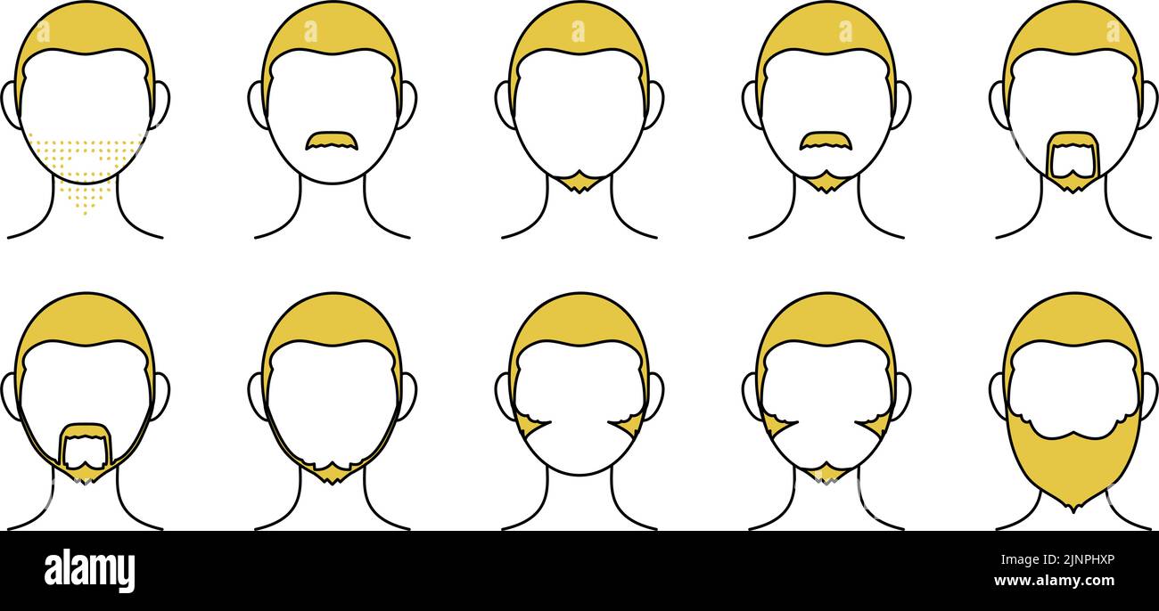 10 patterns of men's beards, simple line drawings Stock Vector