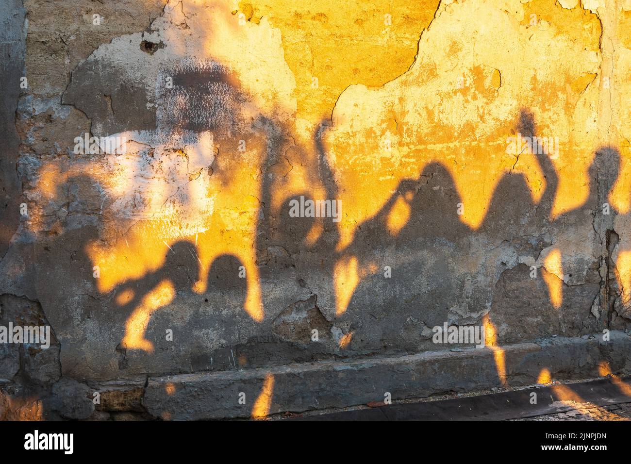 Shadows of dancing people on an old wall at sunset time. Group of human ...