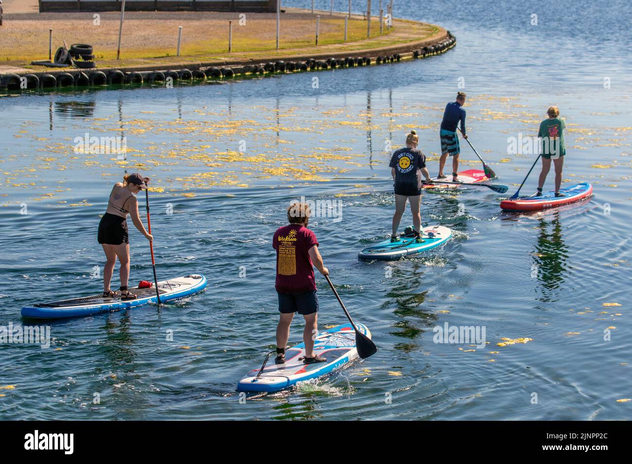 Paddle boarderin in Southport, Merseyside.  August 2022. UK Weather: Sweltering temperatures encourage the growth of Toxic blue-green algae in Marine Lake, Southport.  Harmful algal blooms in lakes are becoming an increasing problem globally linked to climate change.  The impacts of blooms include fish kills, dog deaths, higher water treatment costs and loss of recreational access.  Research is needed to understand the complexity of how climate change may impact water resources globally. Credit: MediaWorldImages/AlamyLiveNews Stock Photo