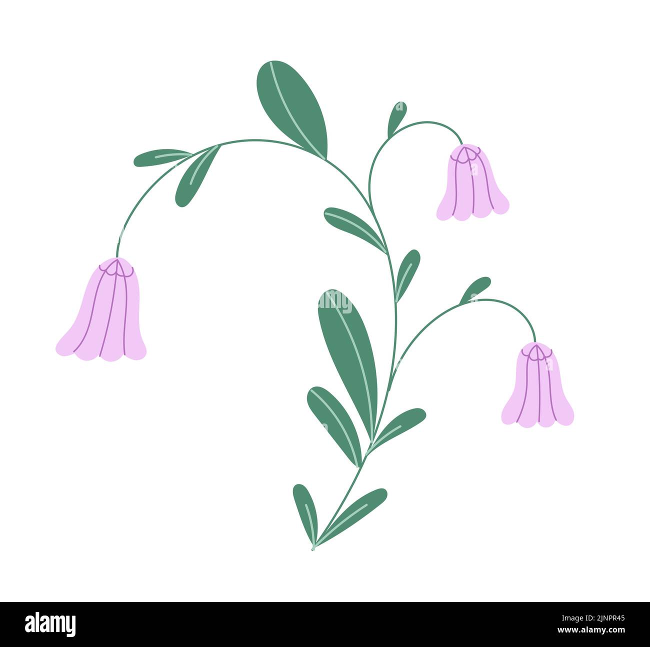 Flower with blooming bud vector Stock Vector Image & Art - Alamy