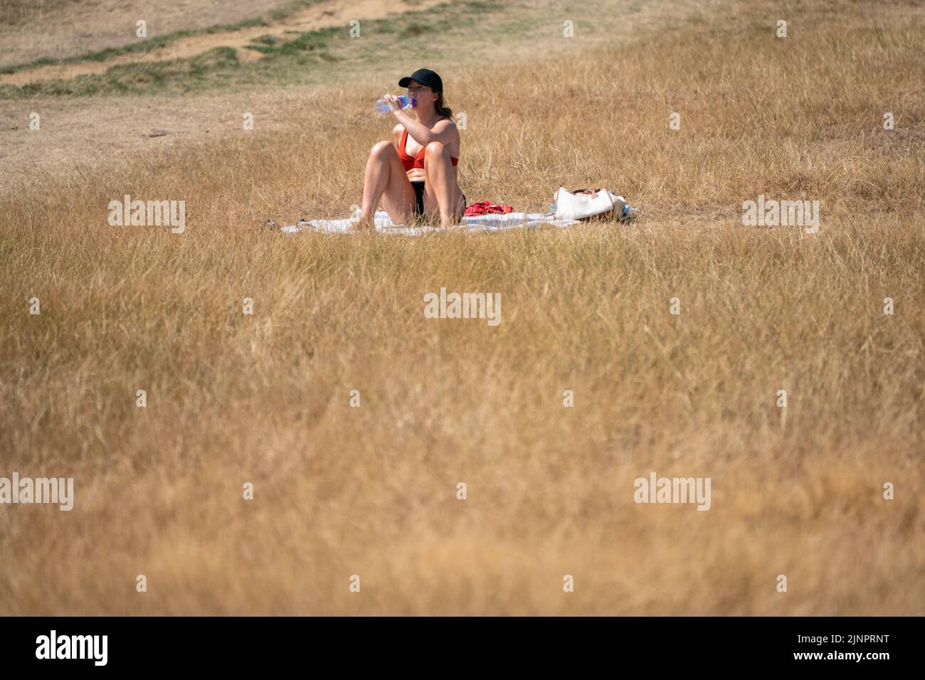 A woman sits on the dry grass of Primrose Hill, north London, as a drought has been declared for parts of England following the driest summer for 50 years. Picture date: Saturday August 13, 2022. Stock Photo