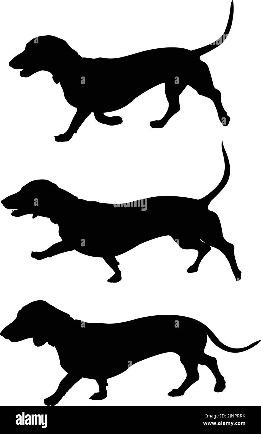 dachshund dog walk silhouettes -  vector artwork Stock Vector
