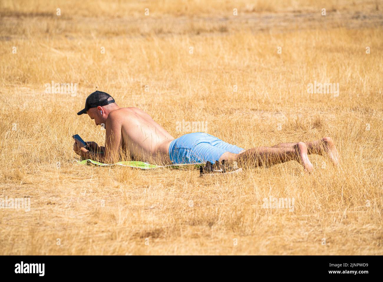 Wimbledon London, UK. 13 August 2022 . A man sunbathing on the dried brown grass on  Wimbledon Common . The Met Office has issued an amber extreme heat warning across England and Wales lasting for the rest of the week when temperatures are expected to rise above 30Celsius as the driest spell in England for 46 years continues and a drought has been officially declared by the Environment Agency.Credit. amer ghazzal/Alamy Live News Stock Photo