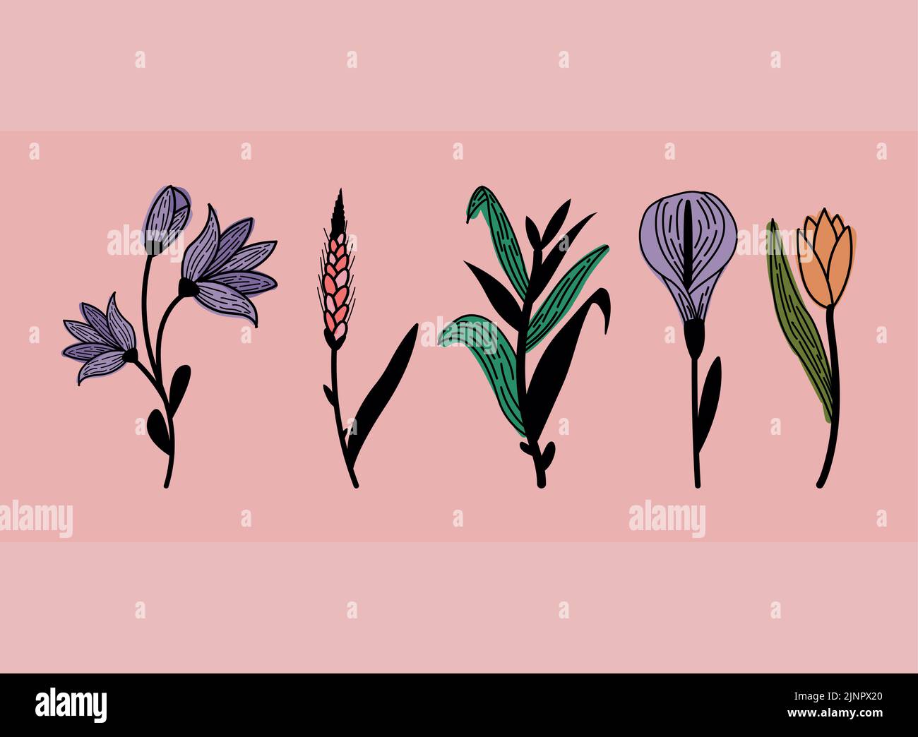 five flowers garden icons Stock Vector