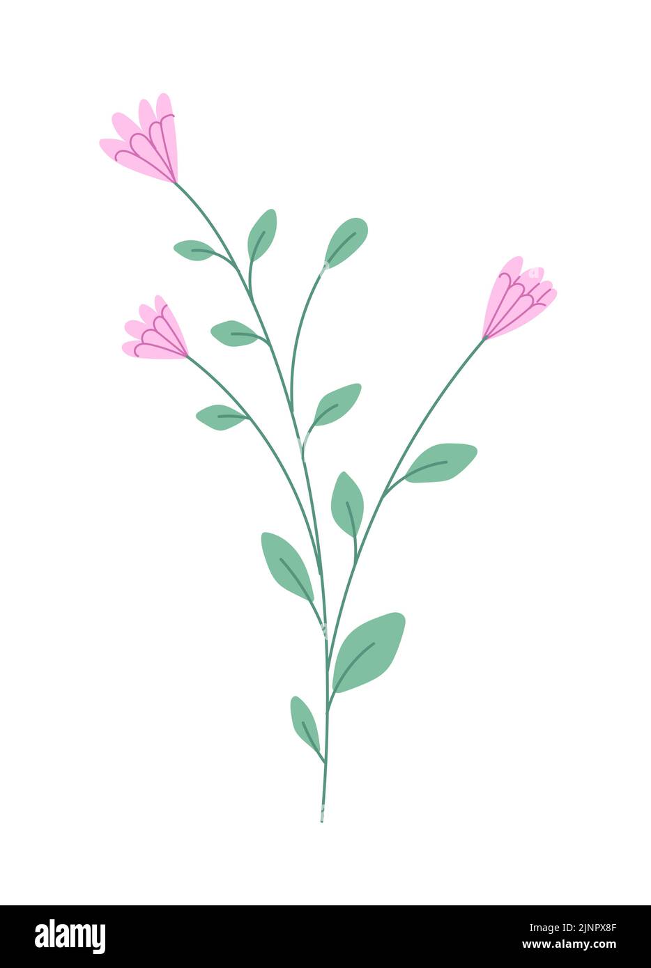 Flower with blooming bud vector Stock Vector Image & Art - Alamy