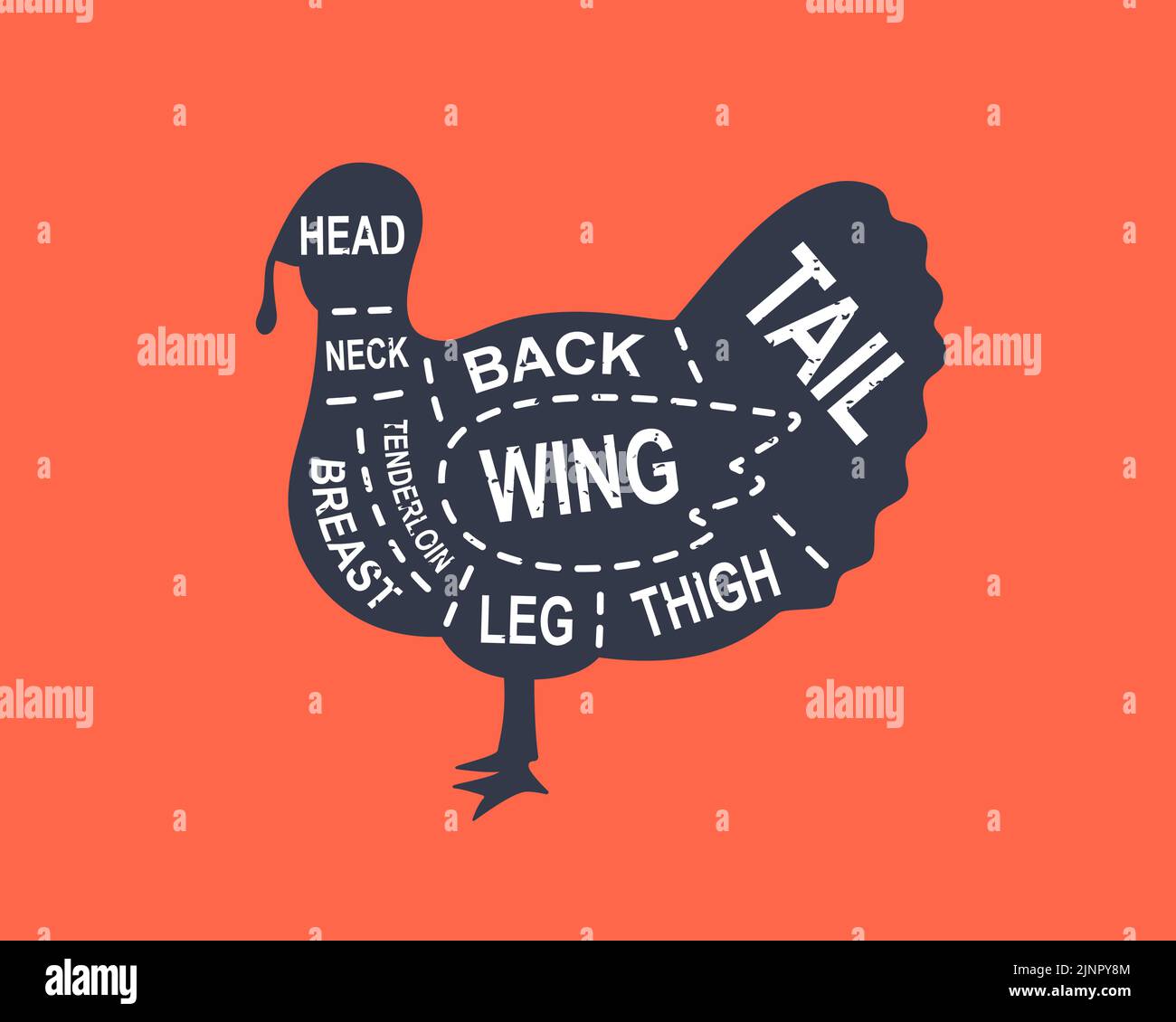 Turkey diagram cuts. Butcher scheme poster. Cuts of turkey meat. Meat