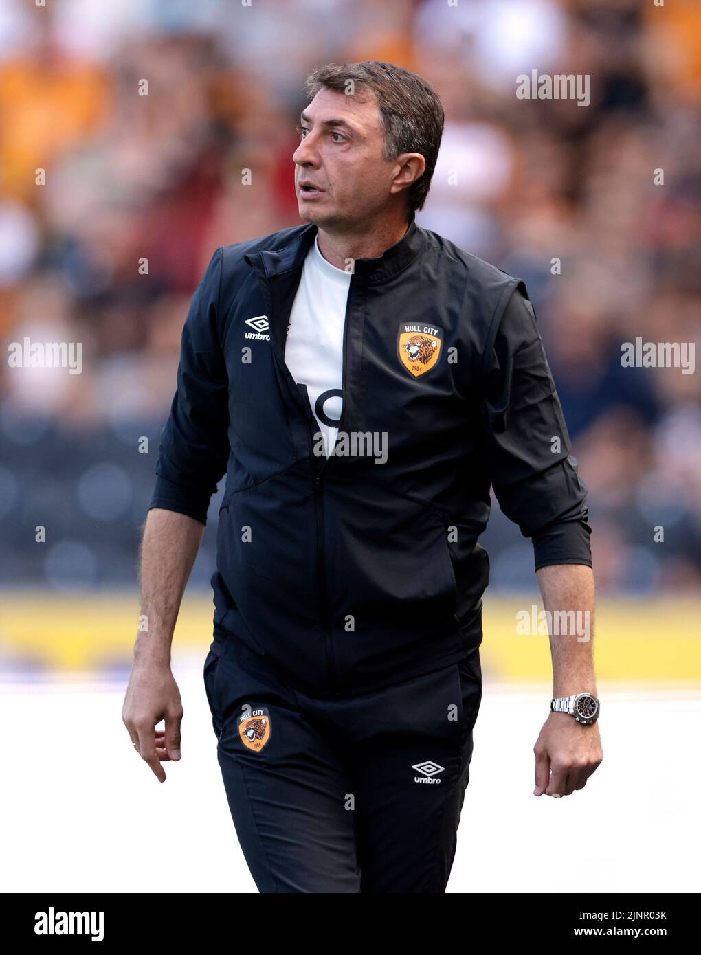Hull City manager Shota Arveladze during the Sky Bet Championship match at the MKM Stadium, Hull. Picture date: Saturday August 13, 2022. Stock Photo