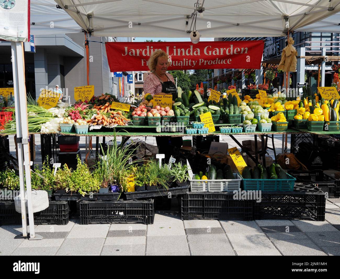 Scenes from the Farmer's Market at Lansdowne Place. Very colorful farm fresh produce stall under a shady awning. Ottawa, ON, Canada. Stock Photo