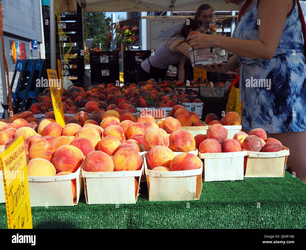 Scenes from the Farmer's Market at Lansdowne Place. Fresh local peach stand. Ottawa, ON, Canada. Stock Photo