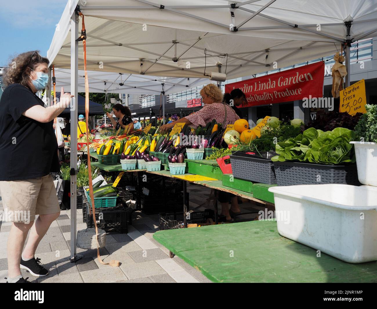 Scenes from the Farmer's Market at Lansdowne Place. Shoppers and sellers interacting at a farm fresh produce stand. Ottawa, ON, Canada. Stock Photo