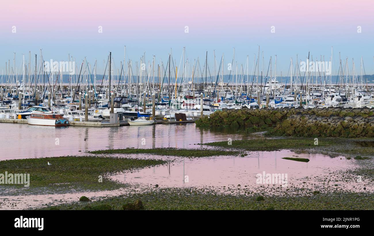 Seattle - August 07, 2022; Dawn at Elliott Bay Marina at low tide with breakwater in Seattle Stock Photo