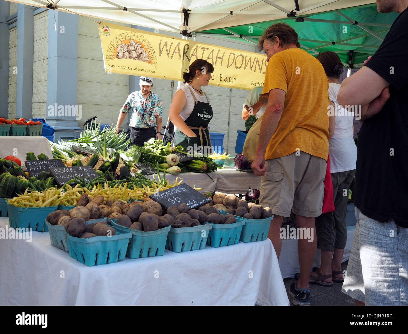 Scenes from the Farmer's Market at Lansdowne Place. Market goers at a fresh farm produce stall. Ottawa, ON, Canada. Stock Photo