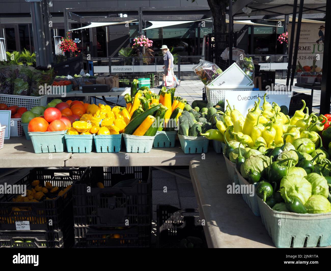 Scenes from the Farmer's Market at Lansdowne Place. Colorful farm produce stall. Ottawa, ON, Canada. Stock Photo