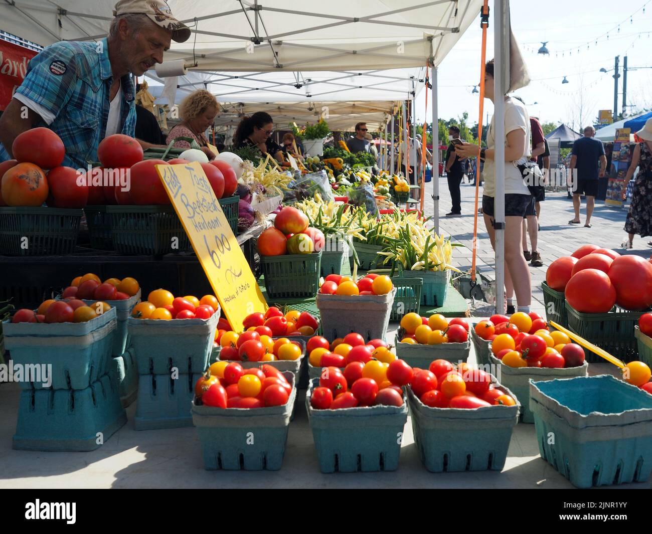Scenes from the Farmer's Market at Lansdowne Place. Punnets of tomatoes and beans piled high. Ottawa, ON, Canada. Stock Photo