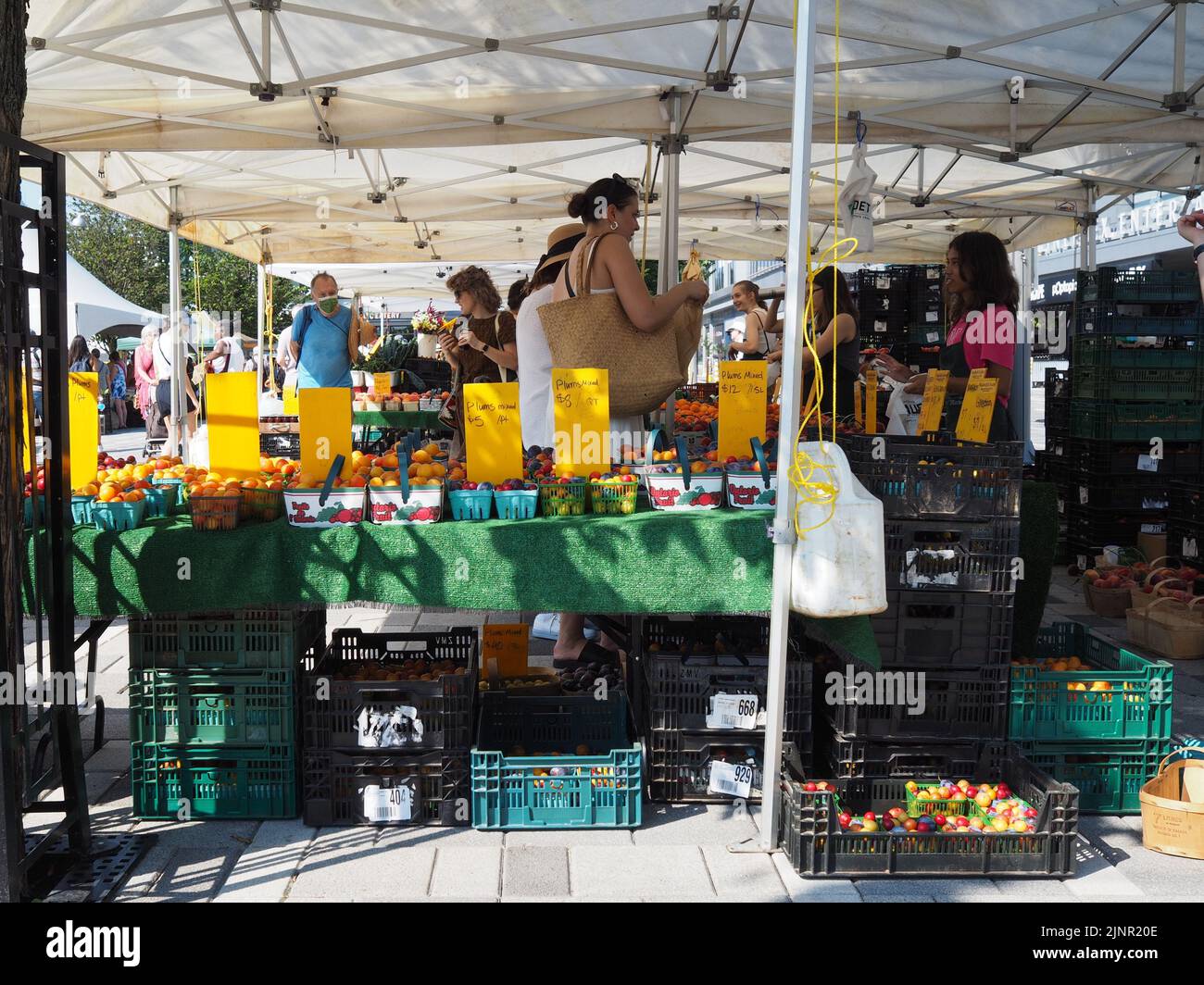 Scenes from the Farmer's Market at Lansdowne Place. Farm fresh produce under the shade of a tent. Ottawa, ON, Canada. Stock Photo