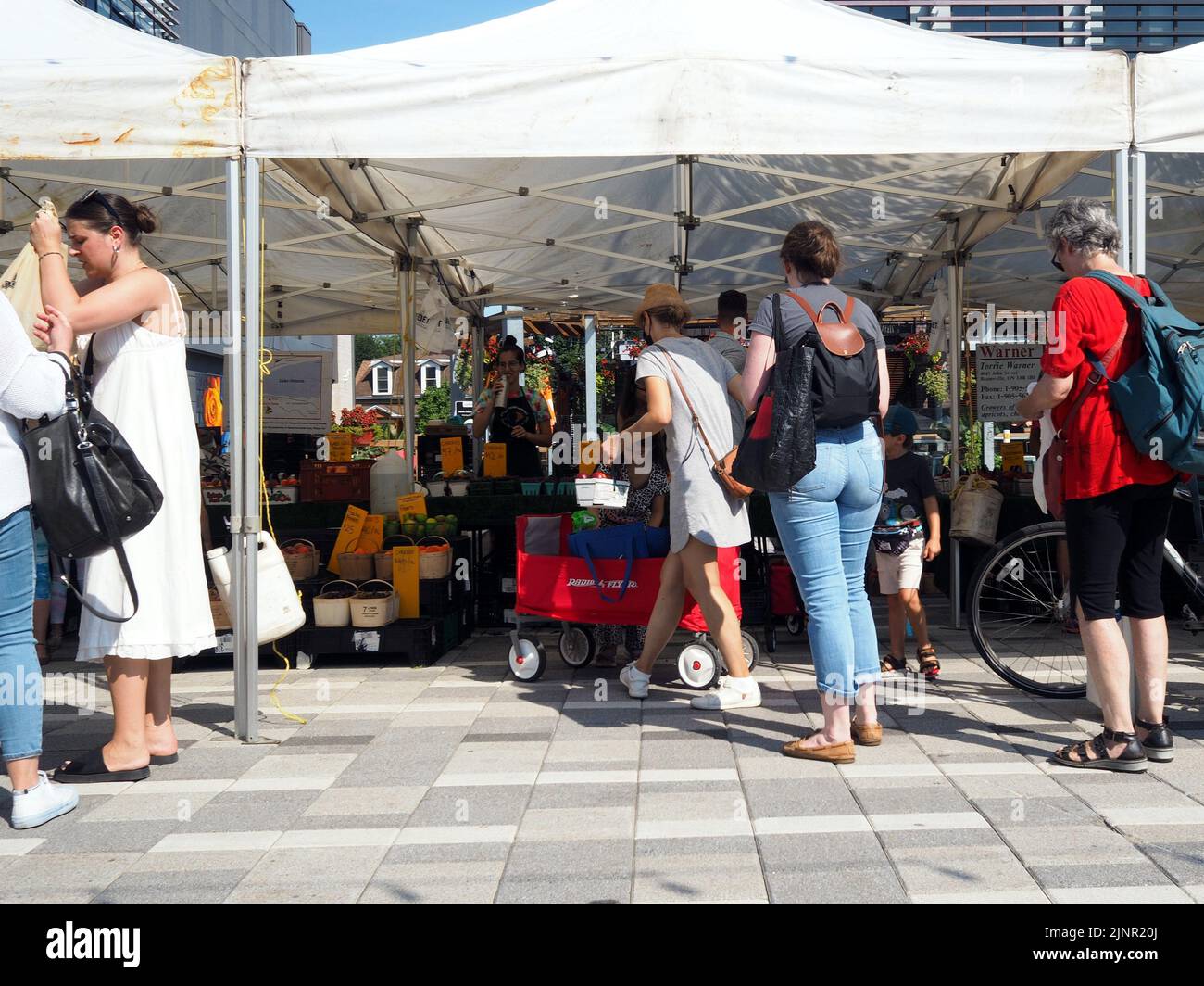 Ottawa, ON, Canada - August 07, 2022: Scenes from the Farmer's Market at Lansdowne Place. Shoppers line up at a grocery tent. Stock Photo